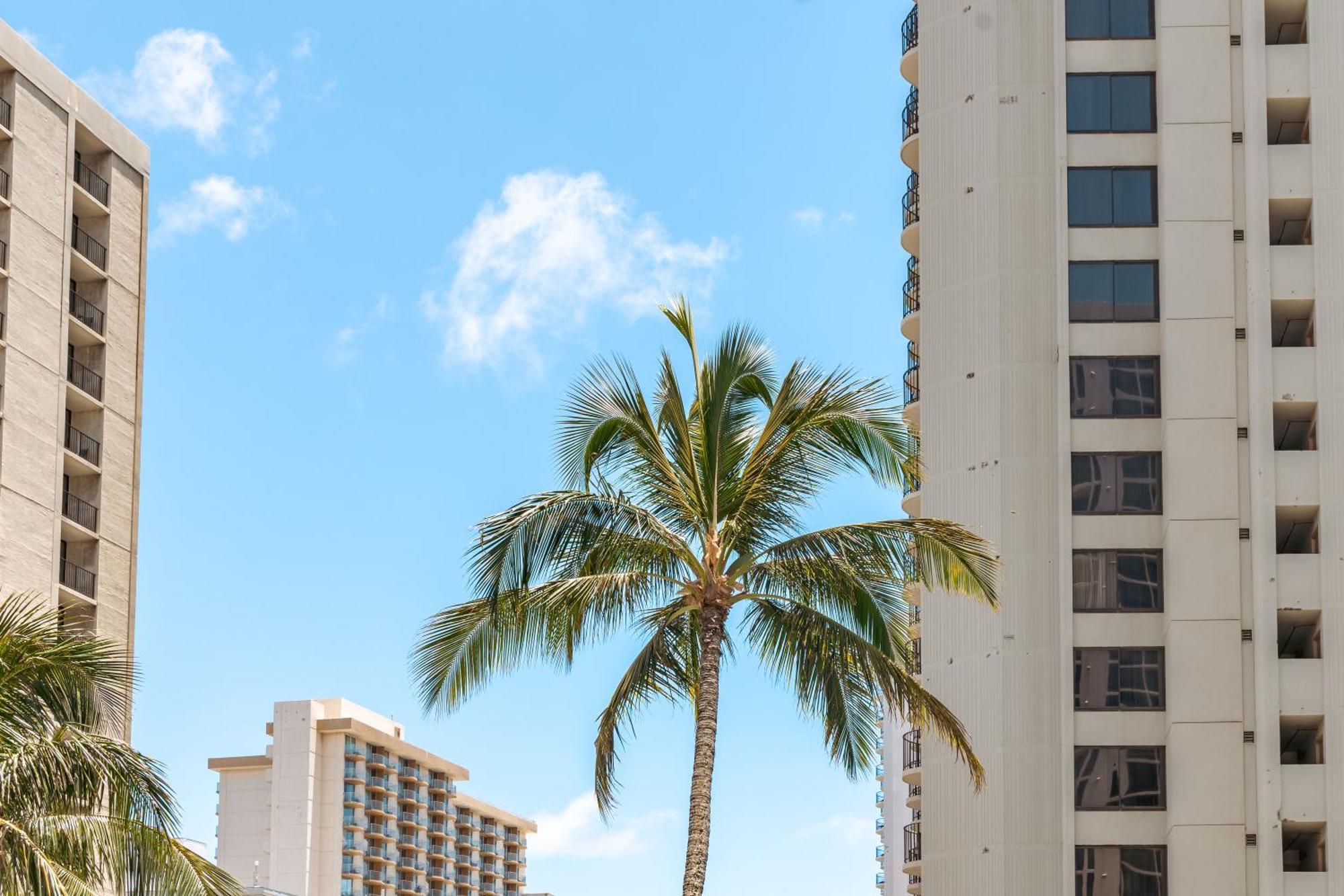 호놀룰루 Beautiful Ocean And Diamond Head Views With Parking 아파트 외부 사진