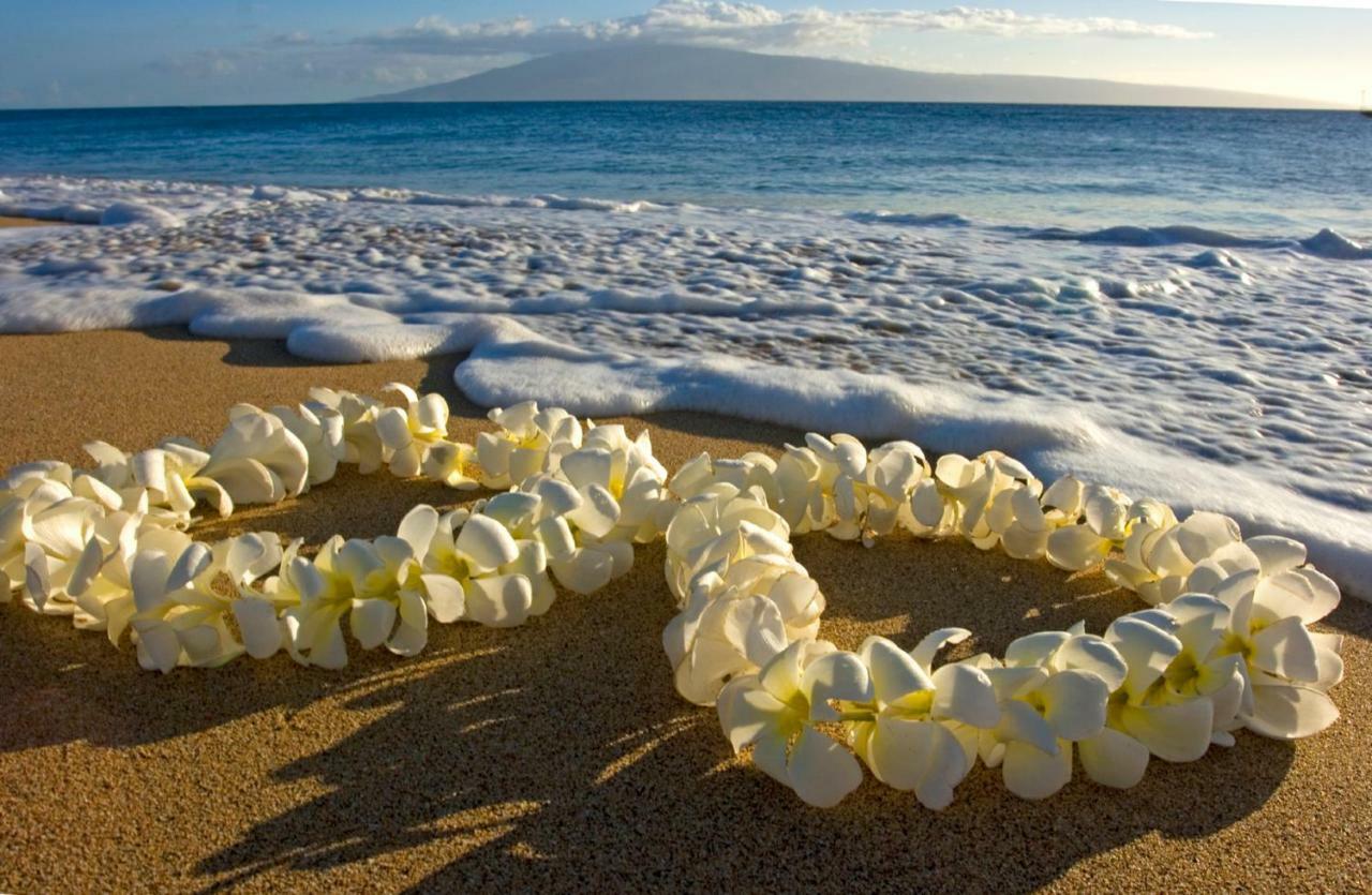 호놀룰루 Beautiful Ocean And Diamond Head Views With Parking 아파트 외부 사진